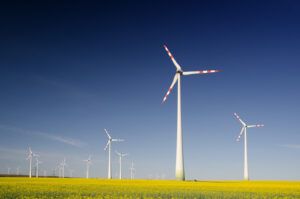 Read more about the article 10 Ways to Foster Environmental Awareness