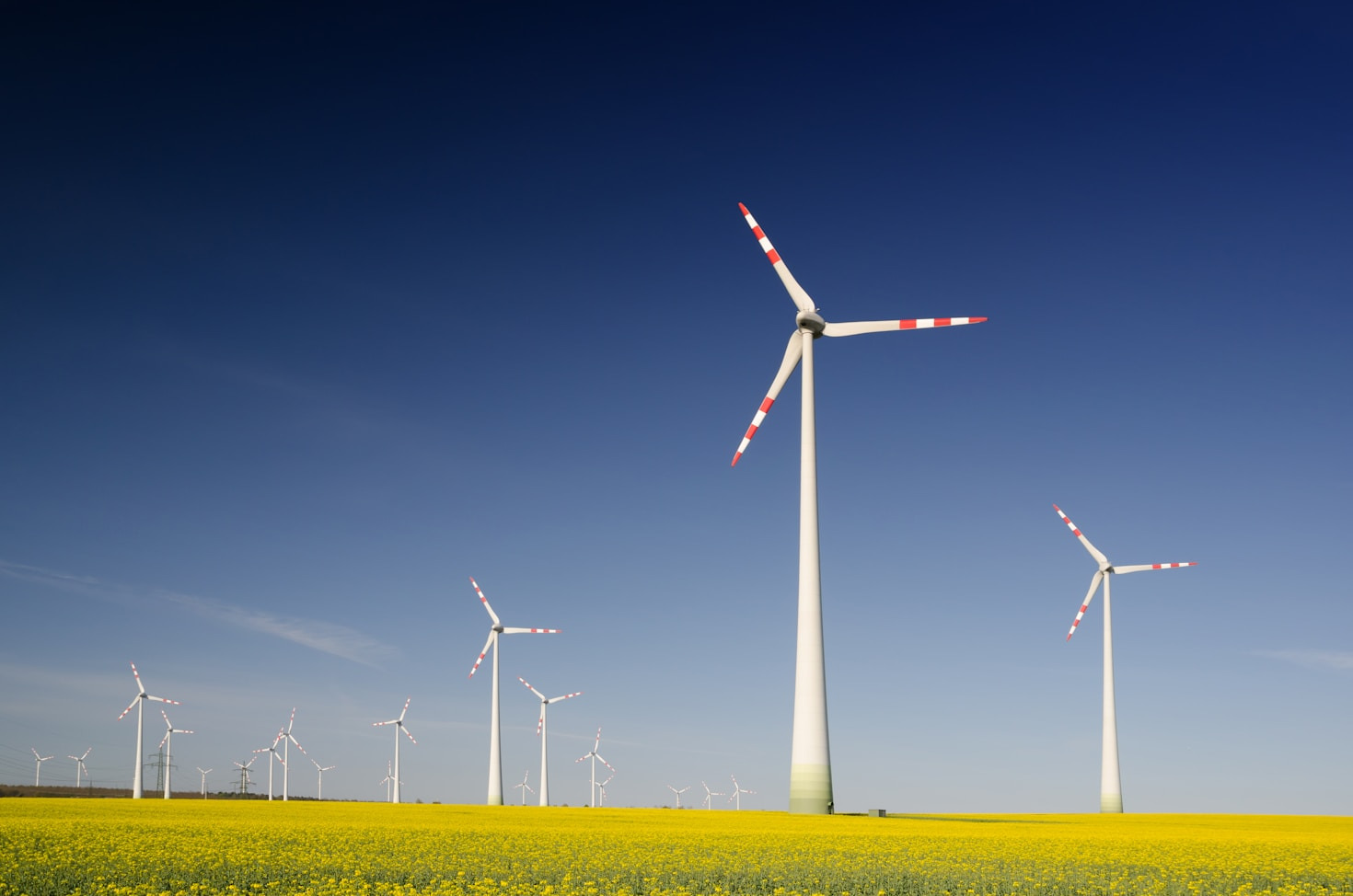 Read more about the article 10 Ways to Foster Environmental Awareness