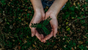 Read more about the article How to Start Living a More Sustainable Life