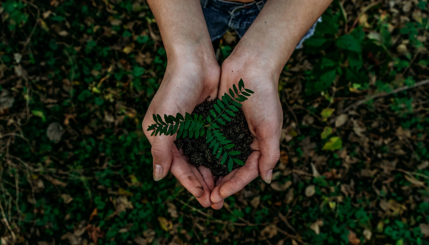 Read more about the article How to Start Living a More Sustainable Life