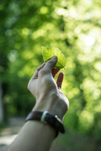 Read more about the article Innovative Ideas for Eco-Friendly Solutions