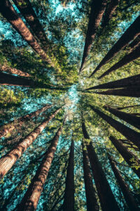 Read more about the article Why Environmental Education Matters Today