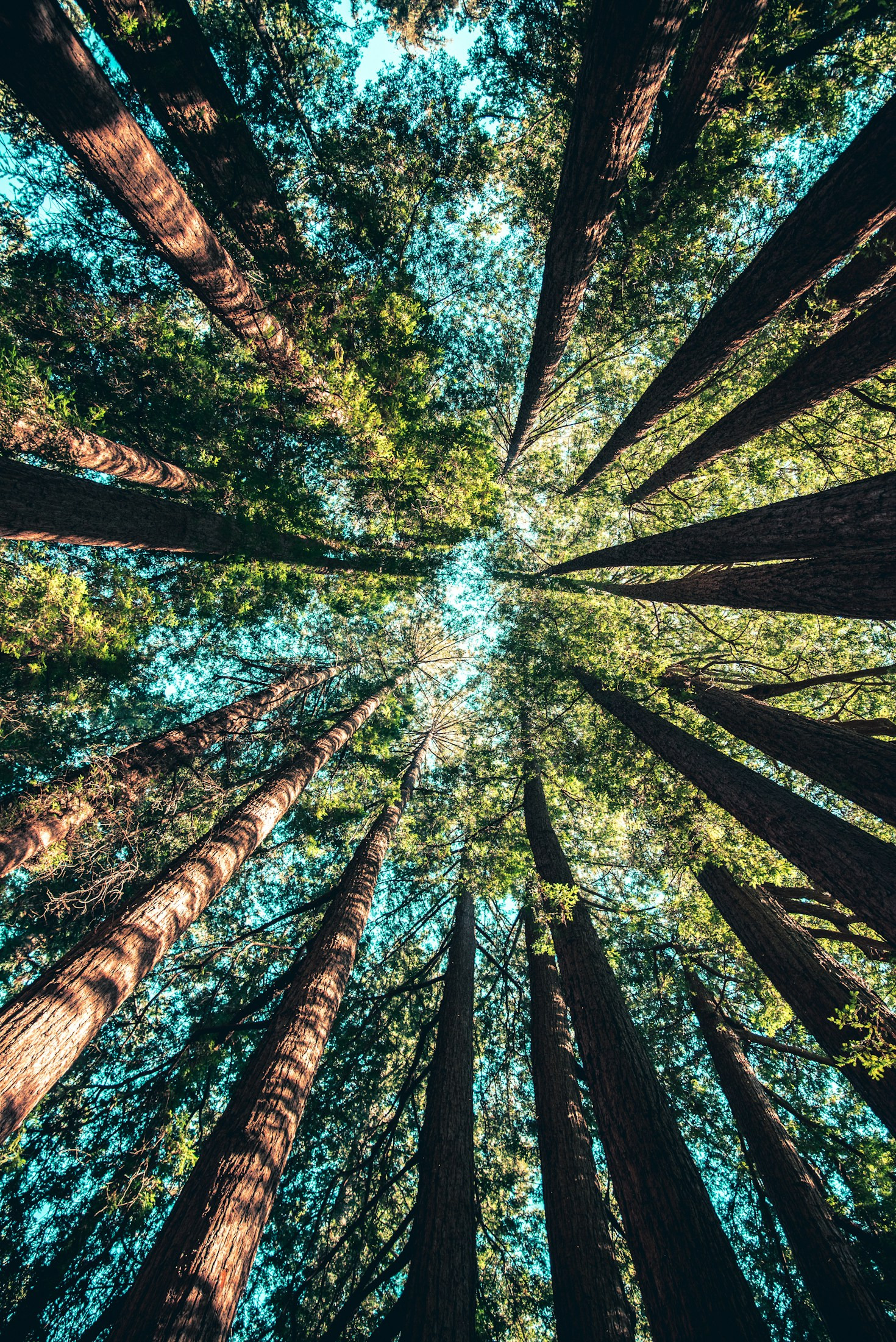 Read more about the article Why Environmental Education Matters Today