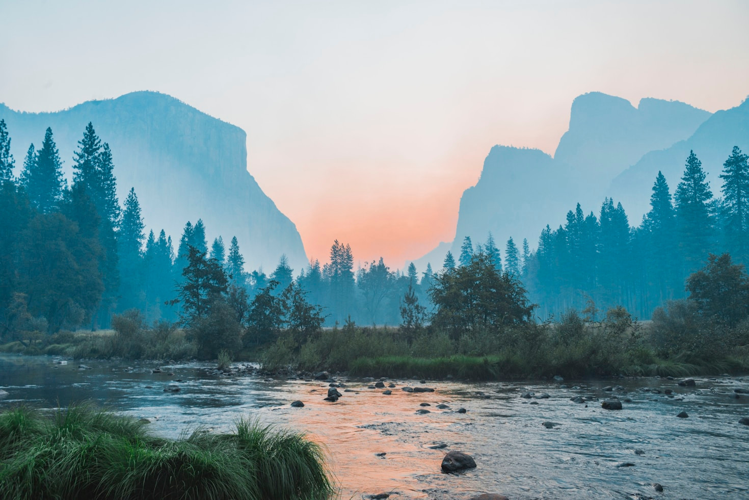 You are currently viewing Steps to Create a Greener Future